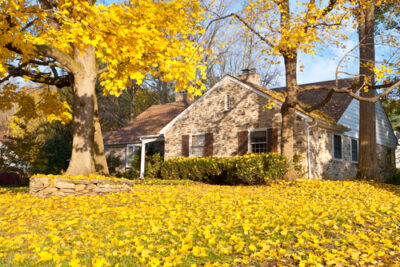 Fall Leaves and Your Home